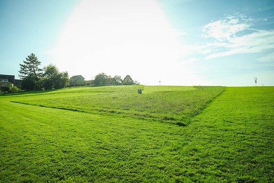 FootGolf Parc Lac du Der - photo 10