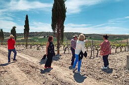 LYNUS, VIÑEDOS Y BODEGAS