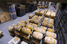 LYNUS, VIÑEDOS Y BODEGAS