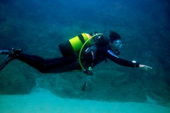 TOSSASUB DIVING CENTER - photo 0