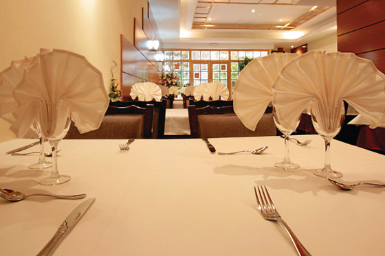 INDIAN RESTAURANT SHANTI - photo 10