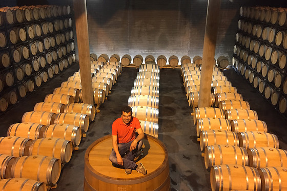VILOSELL WINE HOTEL - photo 5
