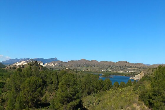 HOTEL ARGOS MURCIA - photo 14