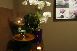 WELLNESS AVENIDA