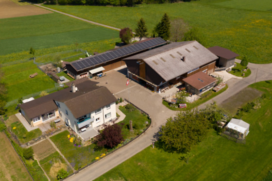 Hof-Tschannen - photo 18