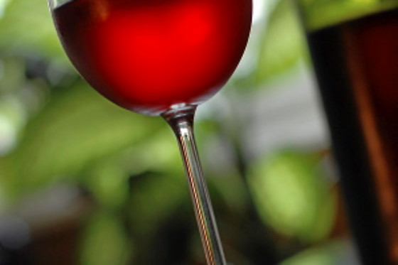 BODEGA  PIEDRA - photo 4
