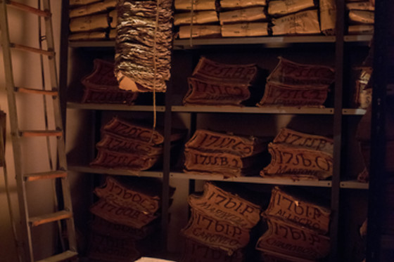 Il Cartastorie - photo 6