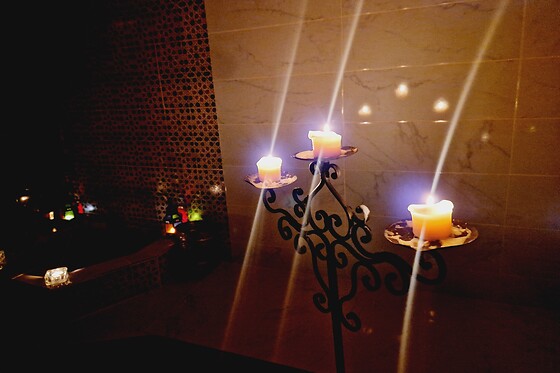LEILA HAMMAM - photo 3
