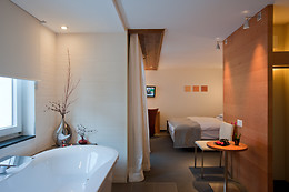 Hotel Allalin
