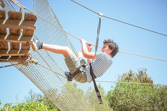 KRAZY WORLD - photo 7