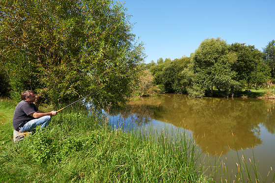 Domaine de la Hurel - photo 20