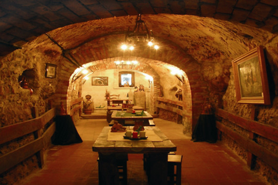 BODEGAS HISTORICA DON CARLOS - photo 4