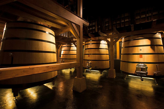 BODEGA FINCA VILLACRECES & BODEGA IZADI - photo 6