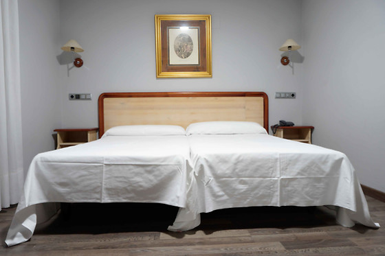 HOTEL CESARAUGUSTA - photo 8