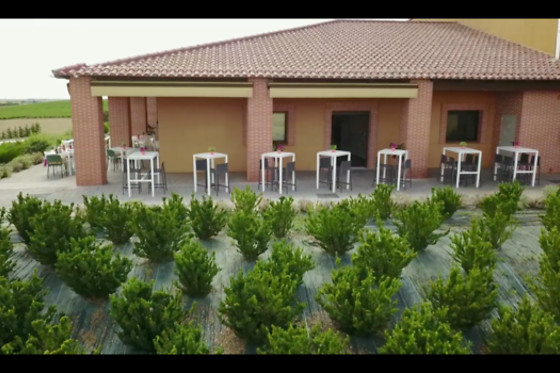 VILE LA FINCA - photo 9