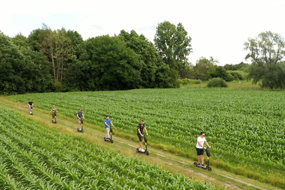 Step Tours Arendonk - photo 1