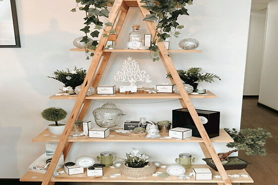 LA BIOCLINICA VIGO - photo 7