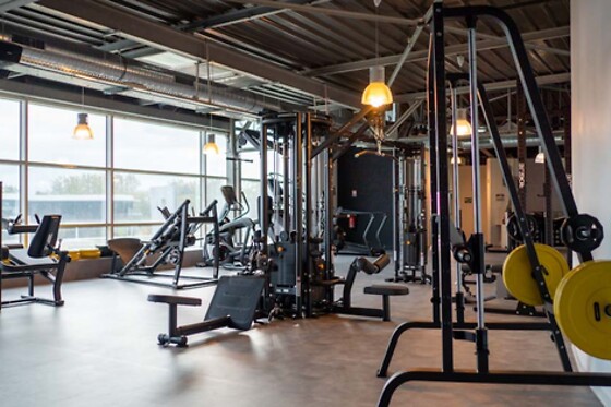 GymChaft - photo 10