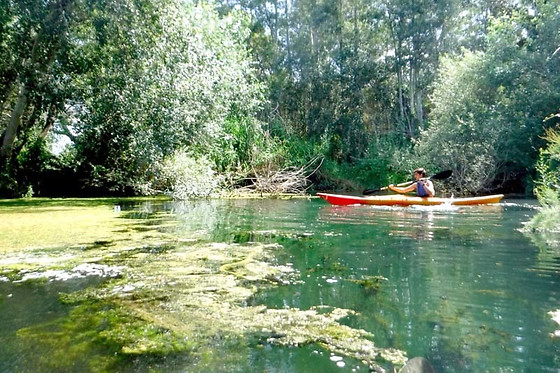 PARC D'AVENTURA I NATURA DELTAVENTUR - photo 5