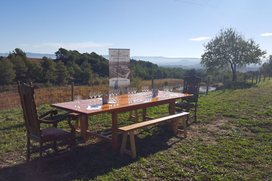 BODEGA MIQUEL JANÉ - photo 6