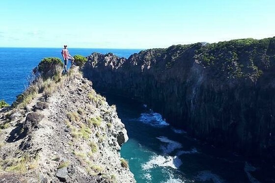 Azores Nature Tours - photo 22