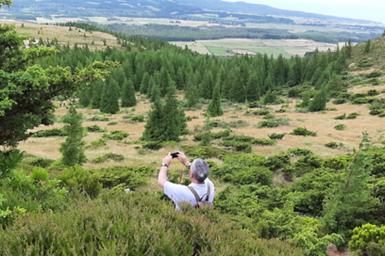 Azores Nature Tours - photo 19