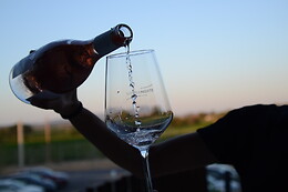 BODEGA SIERRA NORTE