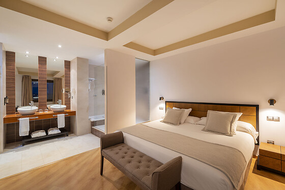HOTEL SPA VILLA NAZULES - photo 18