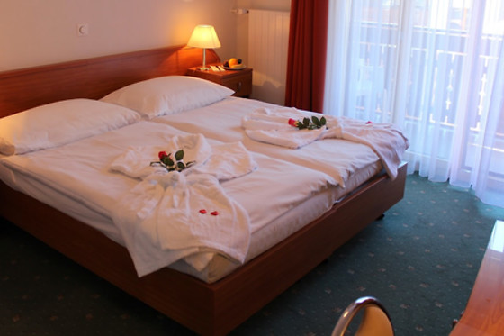 Hotel Elite Zermatt AG - photo 0