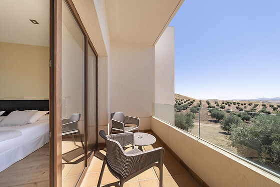 HOTEL SPA VILLA NAZULES - photo 11