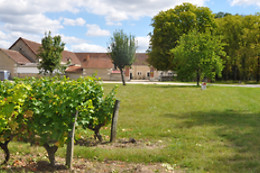 Les Pierres d'Aurèle