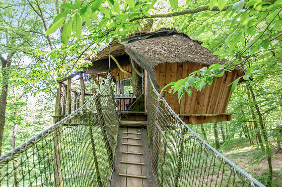 L'Arbre à Cabane - photo 1