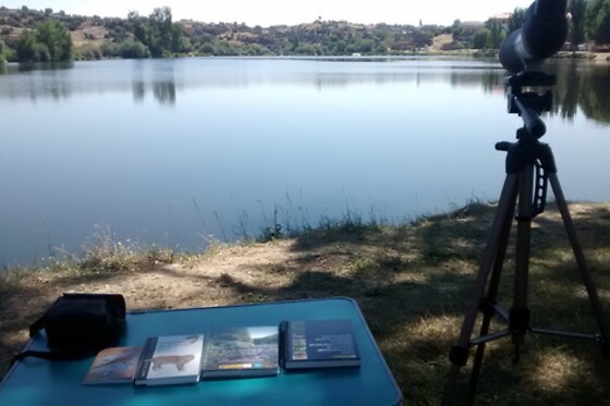 BLETISAVENTURA - photo 1