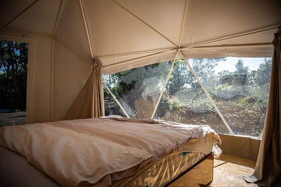 Quinta do Abacate Glamping Park - photo 6