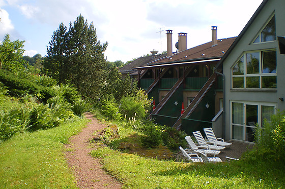 Hôtel Restaurant des Vosges - photo 3