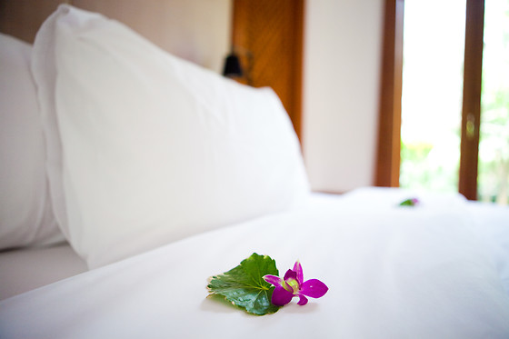 HOTEL  DELPHOS - photo 13