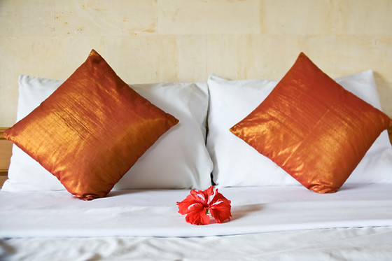 HOTEL  DELPHOS - photo 14