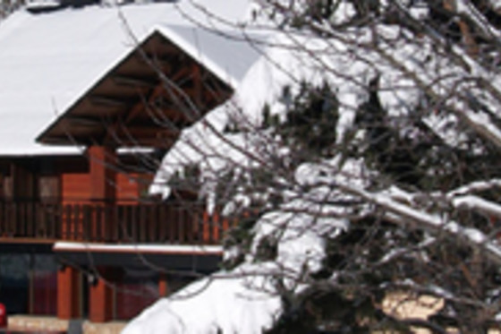 HOTEL L'AVET DEL PORT DEL COMTE - photo 2
