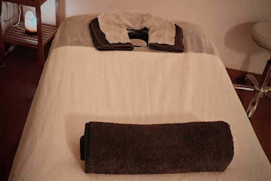 LA CASA DEL ELEFANTE - photo 1