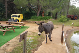 PARQUE DA MINA
