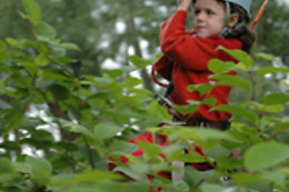 Forez Aventures