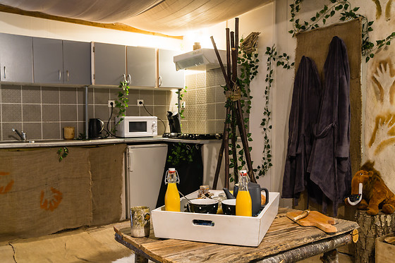 Préhistogîte - photo 7