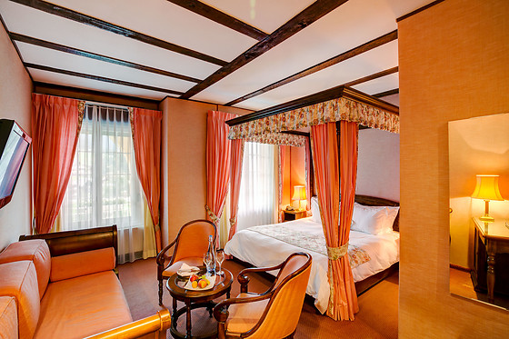 Hotel Regina - photo 5
