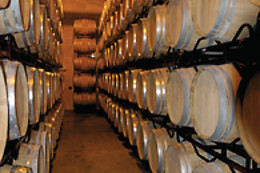 BODEGAS HACIENDA DEL CARCHE