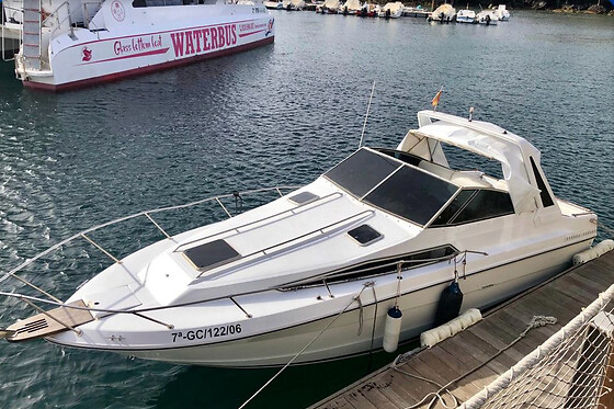 BARCO TUAREG - photo 0