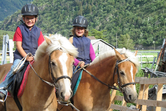 Zucht- und Reitstall Gentinetta - photo 14