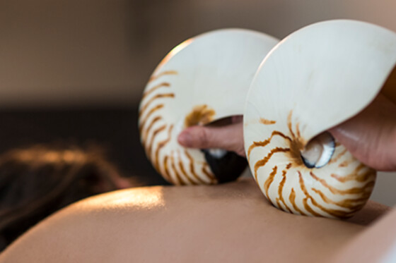 ESTETICA NATURAL RAQUEL TORRES - photo 16