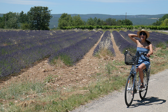 Sun E Bike - photo 3