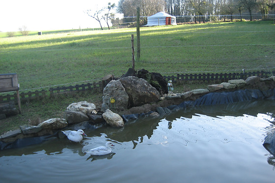Ker'Ânes'Duic - photo 11