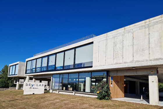 HOTEL DEVALAR DO MAR - photo 11